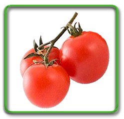 Томаты, помидоры на веточке
